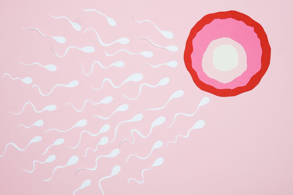 건강한 IVF 임신을 보장하는 팁